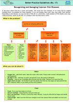 更好的做法指导：认识和处理常见鱼病